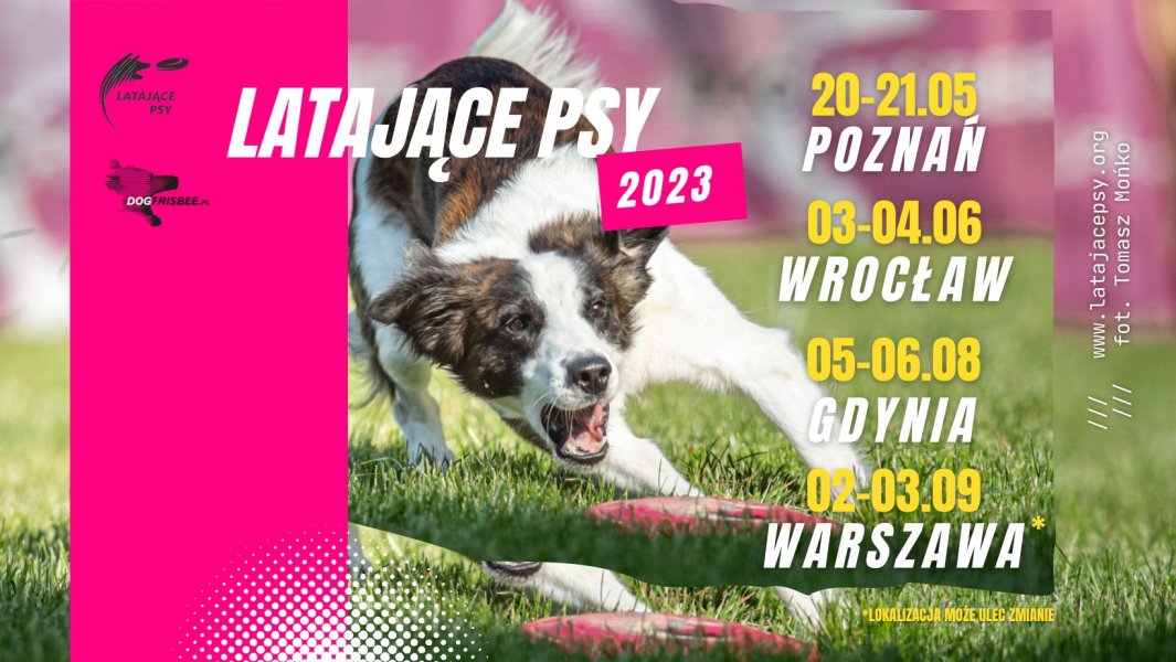 Latające psy 2023 w Gdyni