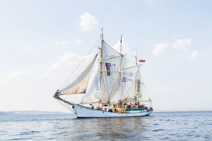 Zawisza Czarny