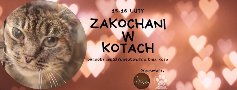 Zakochani w kotach 15-16.02.2020