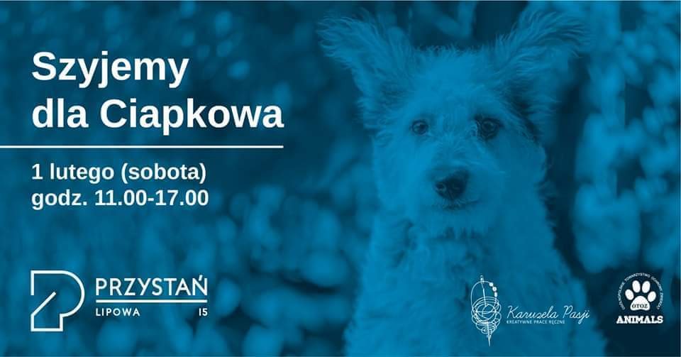 Szyjemy dla Ciapkowa 1.02.2020