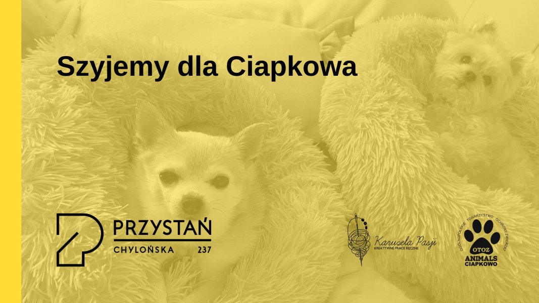 Szyjemy dla Ciapkowa