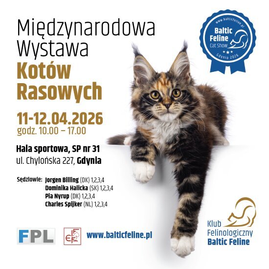 Międzynarodowa Wystawa Kotów Rasowych w Gdyni