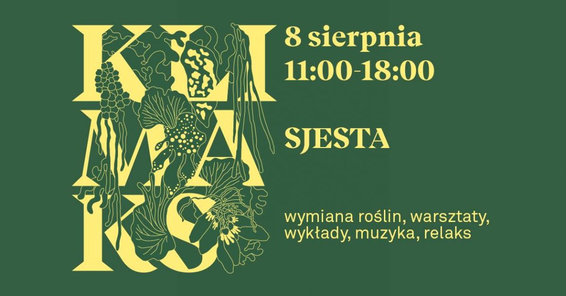 Sjesta 8.08.2021