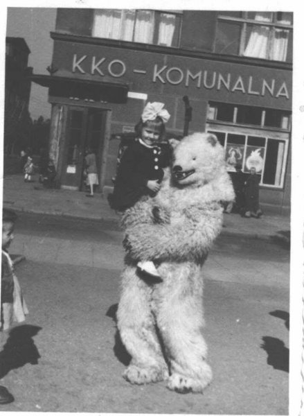 Fotografia z białym niedźwiedziem