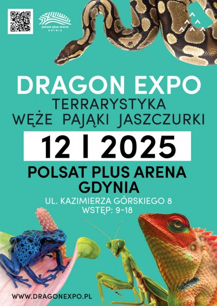 Dragon Expo. Event Terrarystyczno-Botaniczny