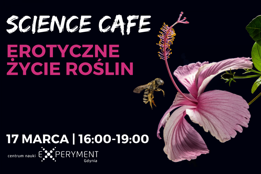 Science Cafe dla dorosłych