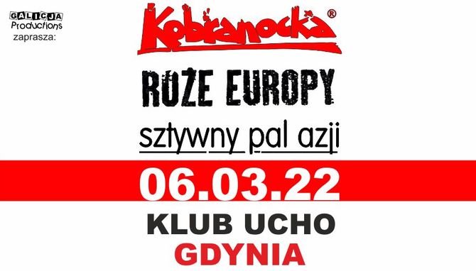Plakat promujący koncert zespołów Kobranocka, Róże Europy, Sztywny Pal Azji