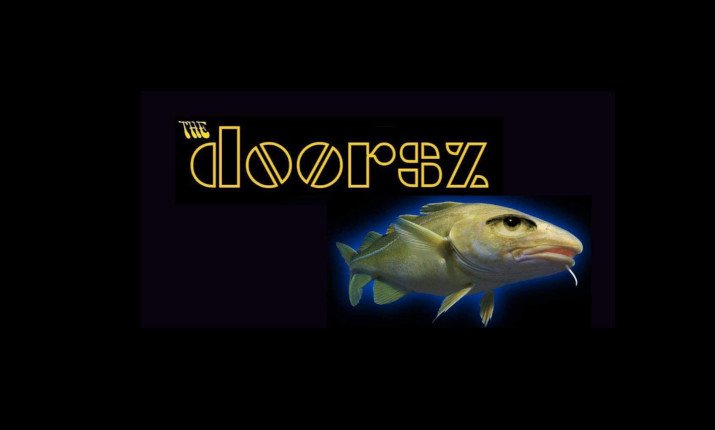 Tribute to The Doors – The Doorsz