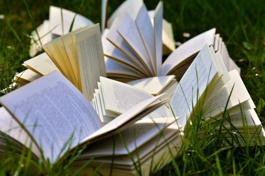 Liter_Czarka | Dyskusyjny Klub Książki // mat. Biblioteka Gdynia