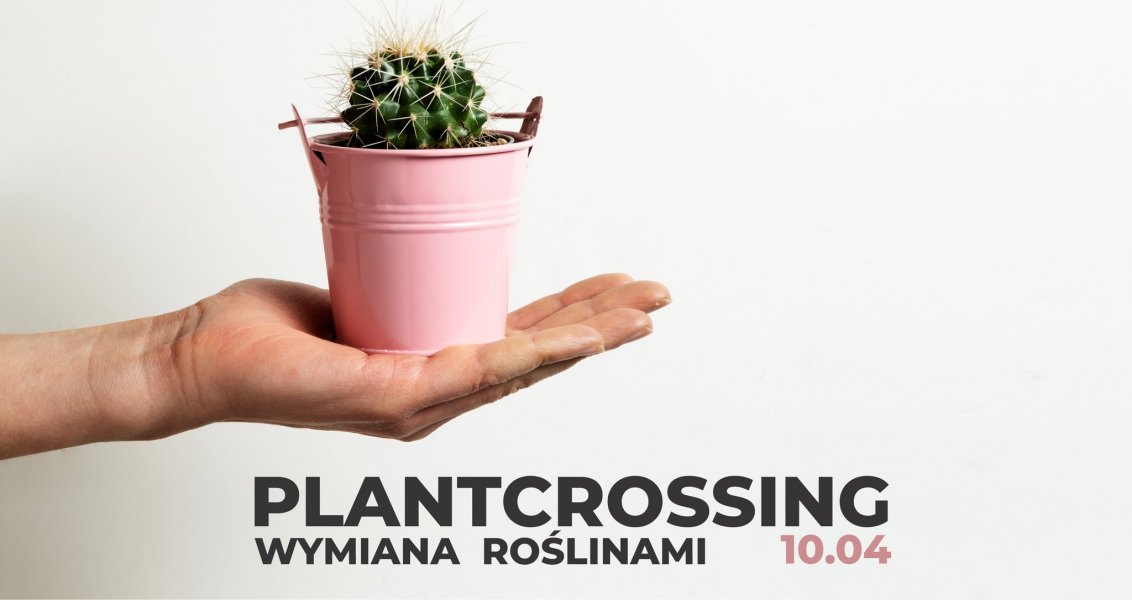 Plantcrossing. Darmowa wymiana roślin