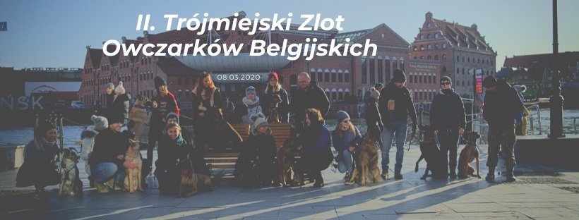 II Trójmiejski Zlot Owczarków Belgijskich 8.03.2020