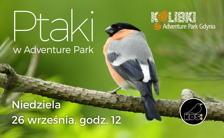 Ptaki Adventure Parku (mat. organizatora)