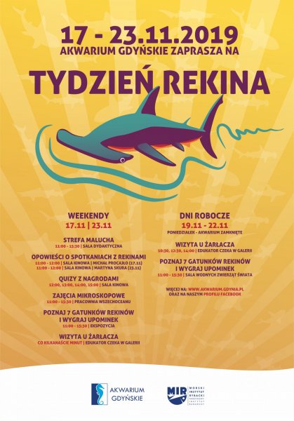 Tydzień Rekina w Akwarium Gdyńskim (17-23.11.2019 r.)