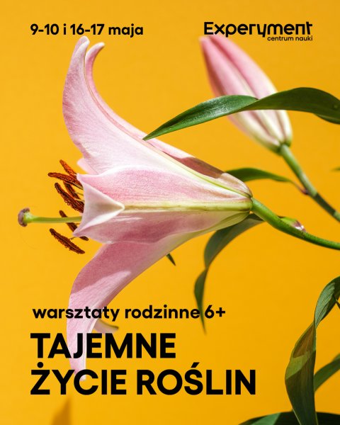 WARSZTATY RODZINNE. Tajemne życie roślin