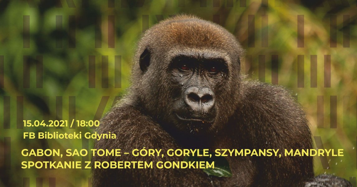 Gabon, Sao Tome - góry, goryle, szympansy, mandryle. Spotkanie z Robertem Gondkiem on-line (mat. organizatora)