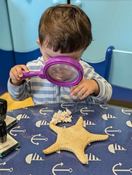 Dzień Edukacji Morskiej dla każdego // mat. prasowe Akwarium Gdyńskiego