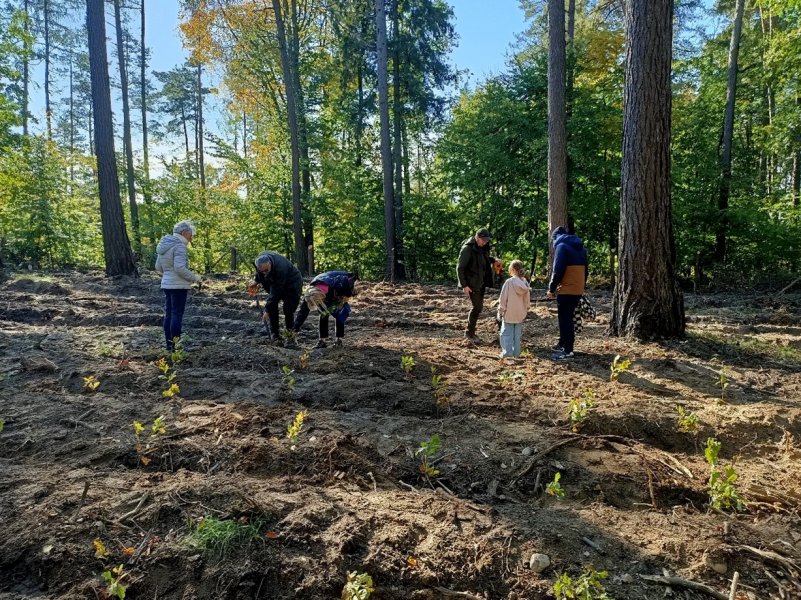 Akcja sadzenia powierzchni pohuraganowych z okazji Dnia Ziemi