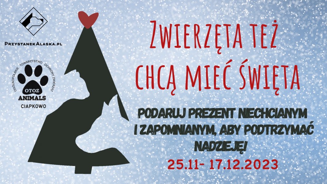 Zwierzęta też chcą mieć Święta! 