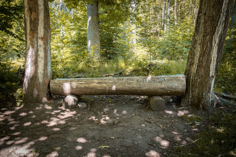 Ławka w lesie, dobrze widoczny napis: 