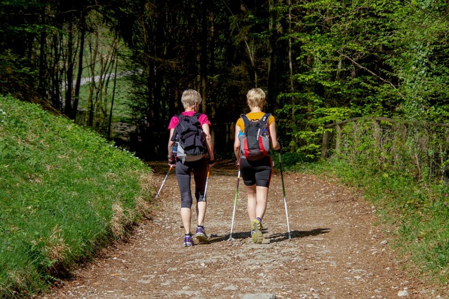 Dwie osoby trenujące nordic walking // fot. Pixabay