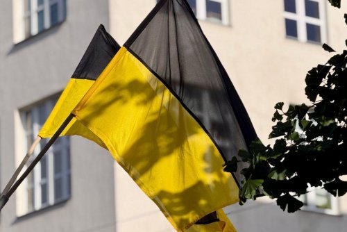 Kaszubskie flagi na masztach ul. 10 Lutego (fot. Adrianna Kupper)