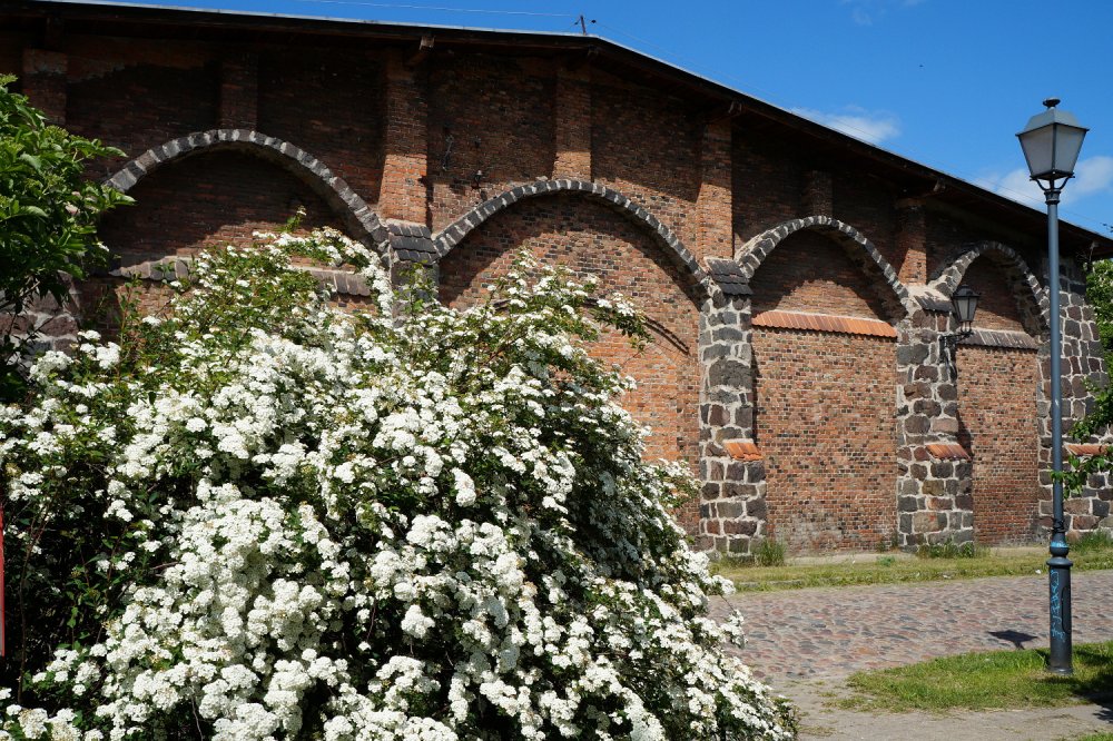 Park Kolibki, widok na wozownię