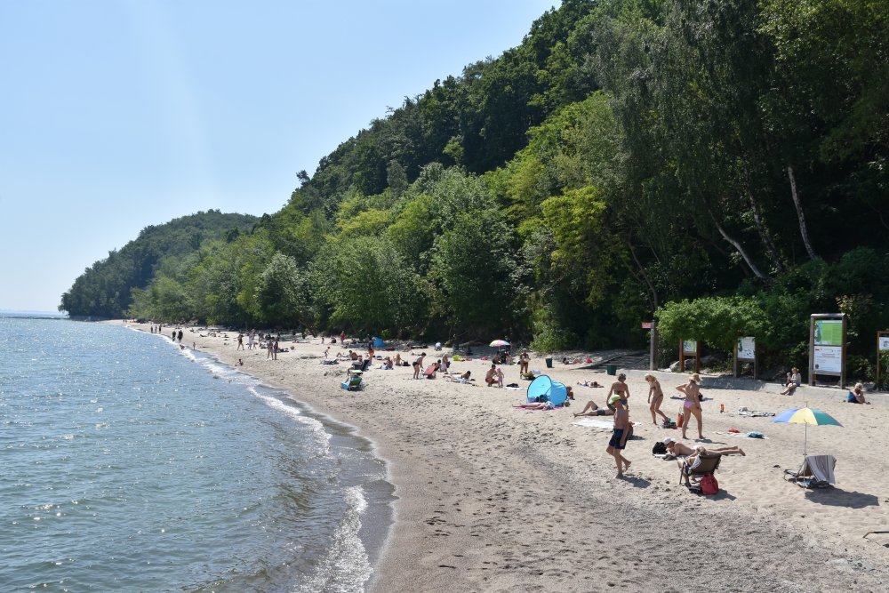 Plaża w Gdyni Redłowie, w tle rezerwat przyrody Kępa Redłowska