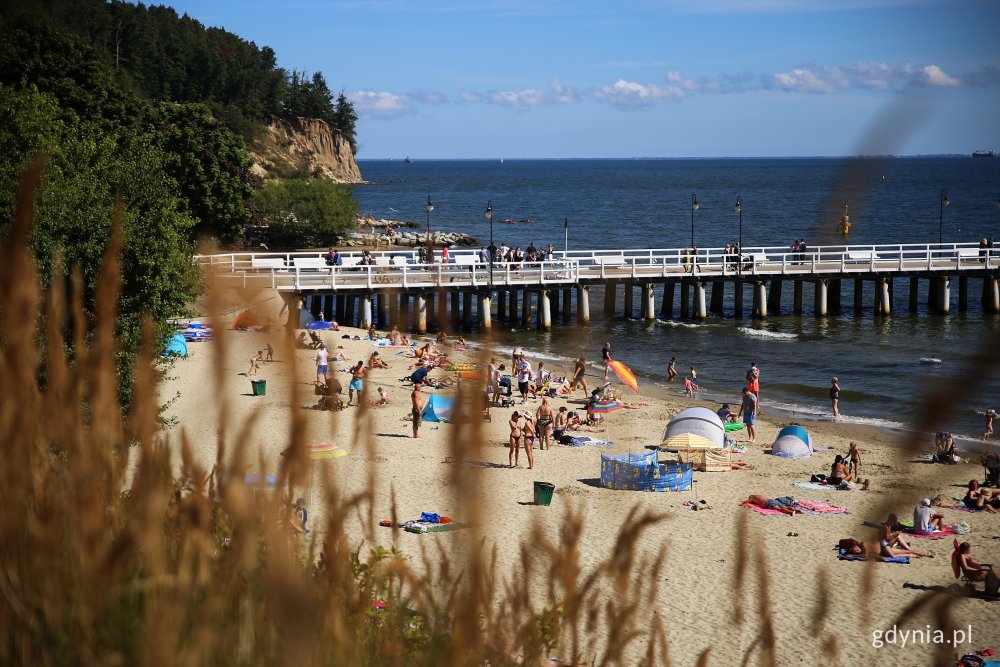 Plaża w Gdyni Orłowie, w tle molo i klif