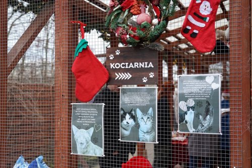 Inicjatywa ma na celu wsparcie codziennej działalności schroniska (fot. Magdalena Śliżewska)