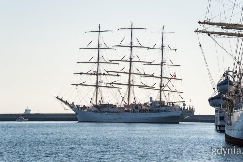 „Dar Młodzieży” wpływający do gdyńskiego portu (fot. Paweł Budziński)