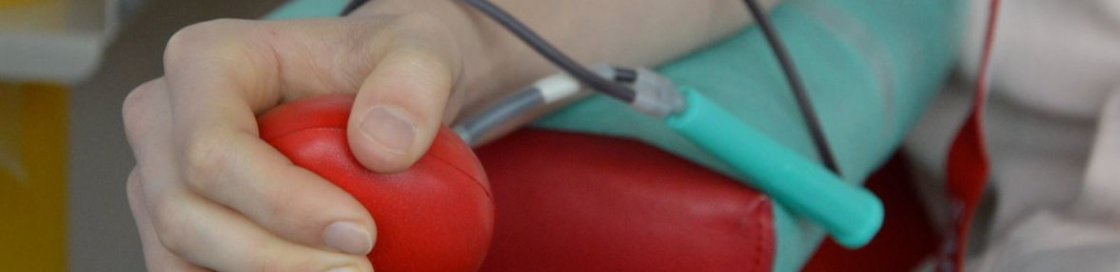 Edukacja i promocja zdrowia, profilaktyka