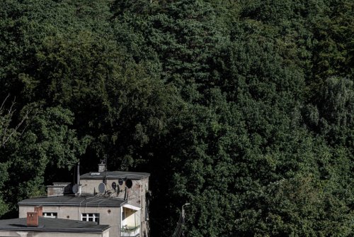 Zwycięska fotografia w edycji konkursu 2024, wykonana przez Tomasza Lelito. (fot. materiały prasowe organizatora)