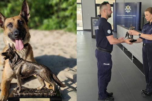 Po trzech dniach zmagań zwyciężyli asp. Jacek Werbiński i jego pies Szogun z KMP w Gdyni (fot. KM Policji w Gdyni)