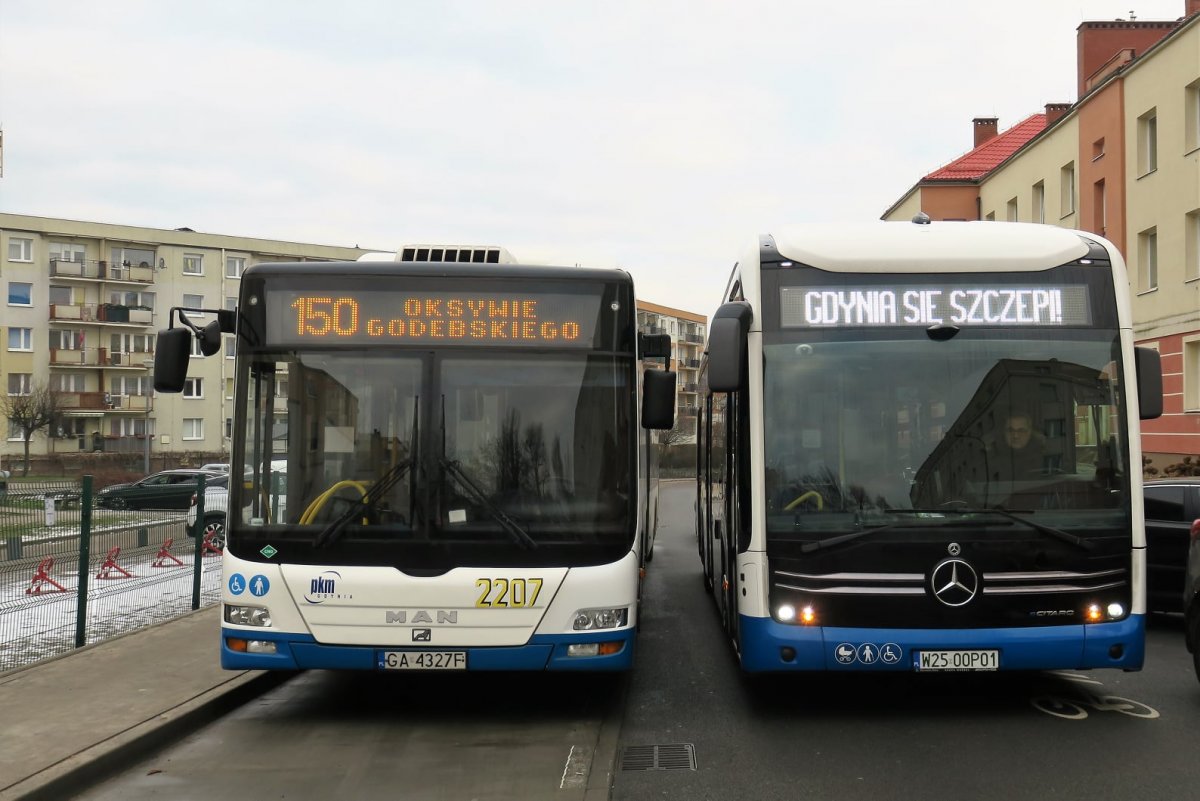 Element historii i nowoczesności - dwa z całego szeregu pojazdów, które obsługiwały (i będą obsługiwać) linię 150, fot. ZKM Gdynia