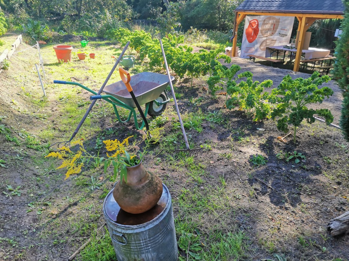 Ogród terapeutyczny