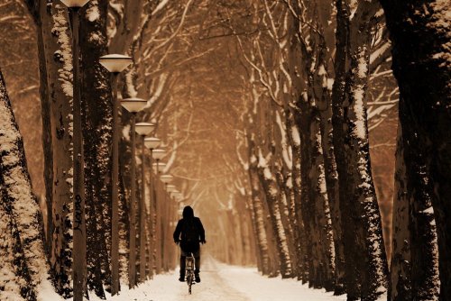 Także zimą można i warto jeździć na rowerze (fot. Pixabay)