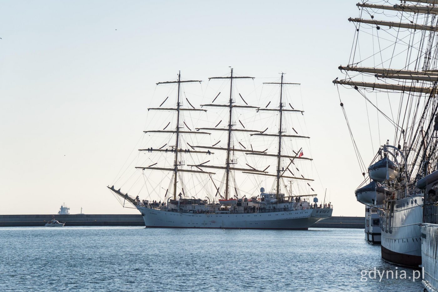 „Dar Młodzieży” wpływający do gdyńskiego portu (fot. Paweł Budziński)