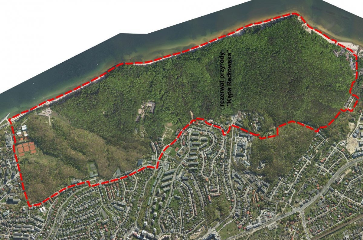 Kępa Redłowska // mat.prasowe Biura Planowania Przestrzennego Miasta Gdyni