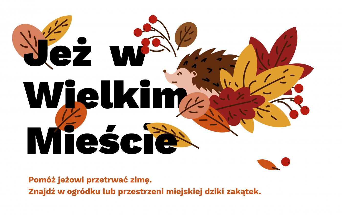 Pomóż jeżowi przetrwać zimę// grafika kampanii społeczno-edukacyjnej