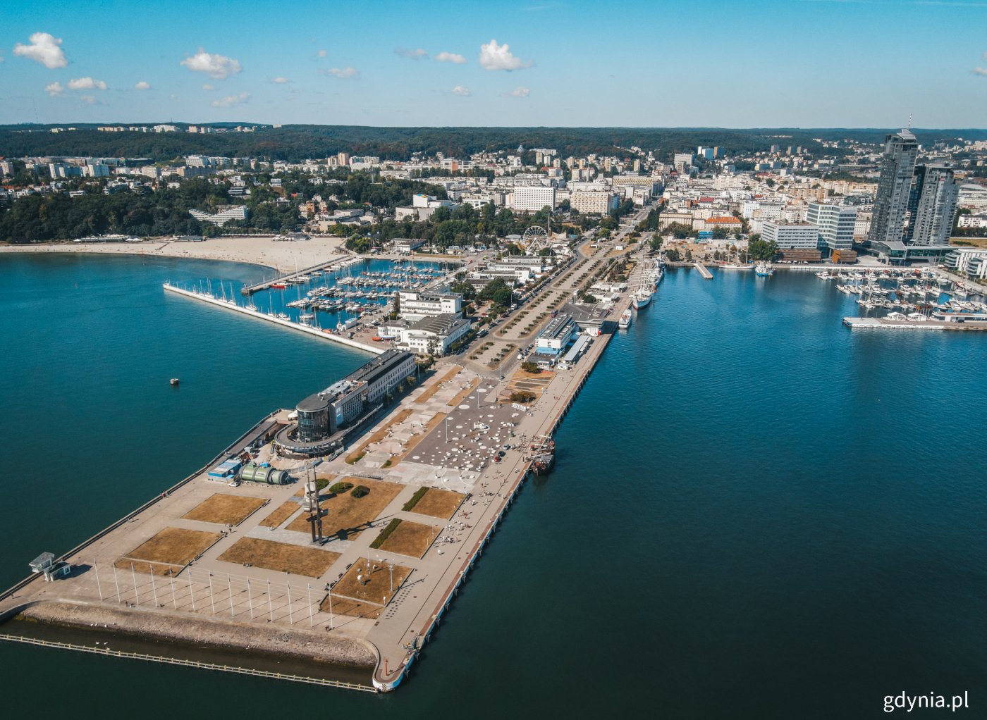 Gdynia z lotu ptaka // fot. Marcin Mielewski/archiwum