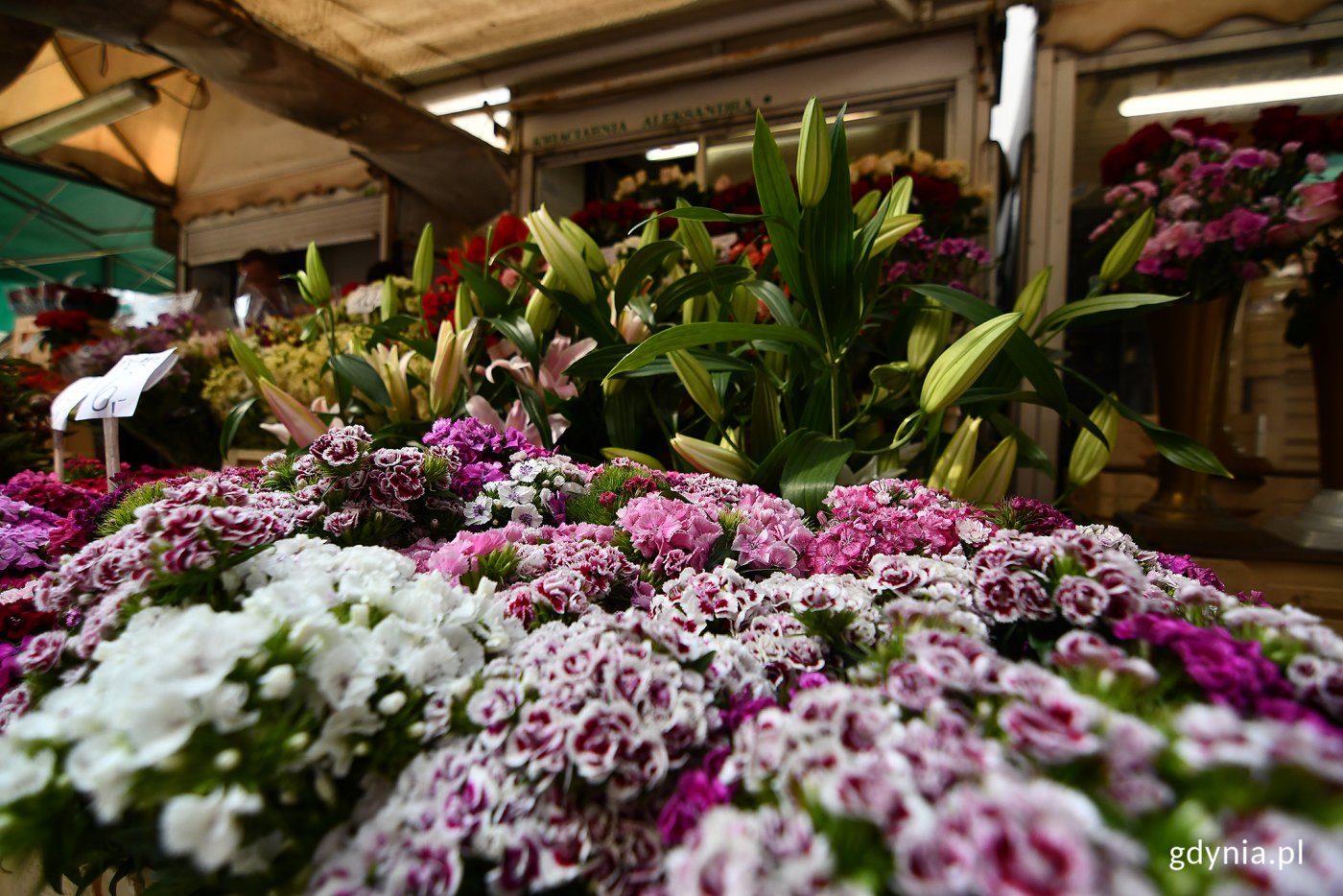 Jedno ze stoisk z kwiatami przy Miejskich Halach Targowych (fot. Michał Puszczewicz)