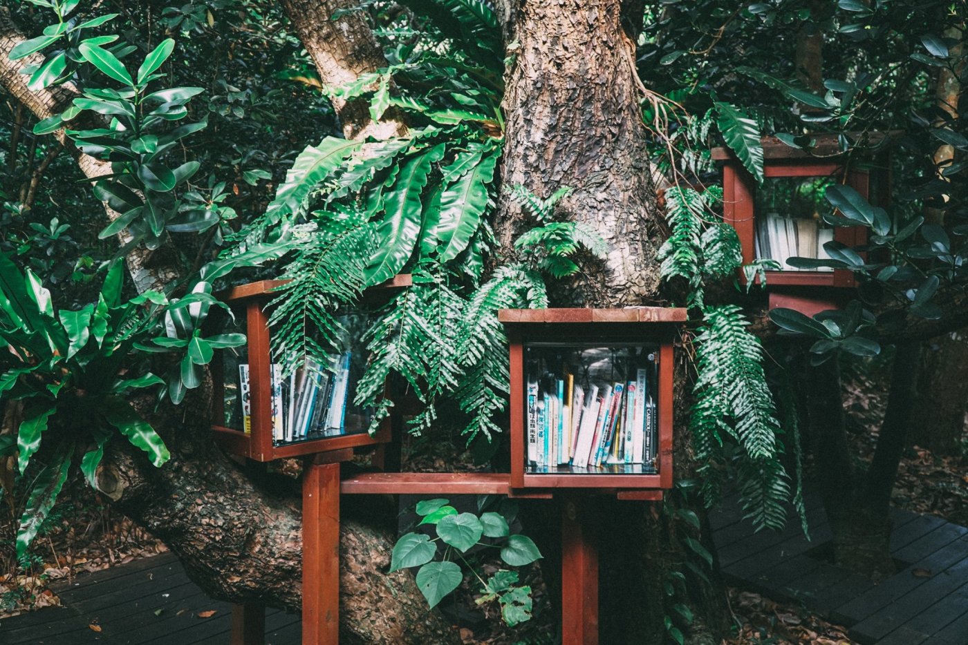 Depesza literacka na Światowy Dzień Ziemi // źródło: Biblioteka Gdynia