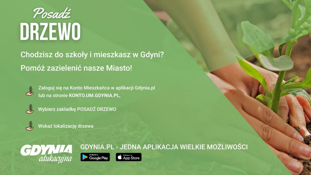 Uczeń, mając do dyspozycji aktywne Konto Mieszkańca, poprzez wielofunkcyjną aplikację Gdynia.pl, do 15 kwietnia może zgłosić propozycję miejsca, w którym powinno się pojawić nowe drzewo // fot. materiały promocyjne