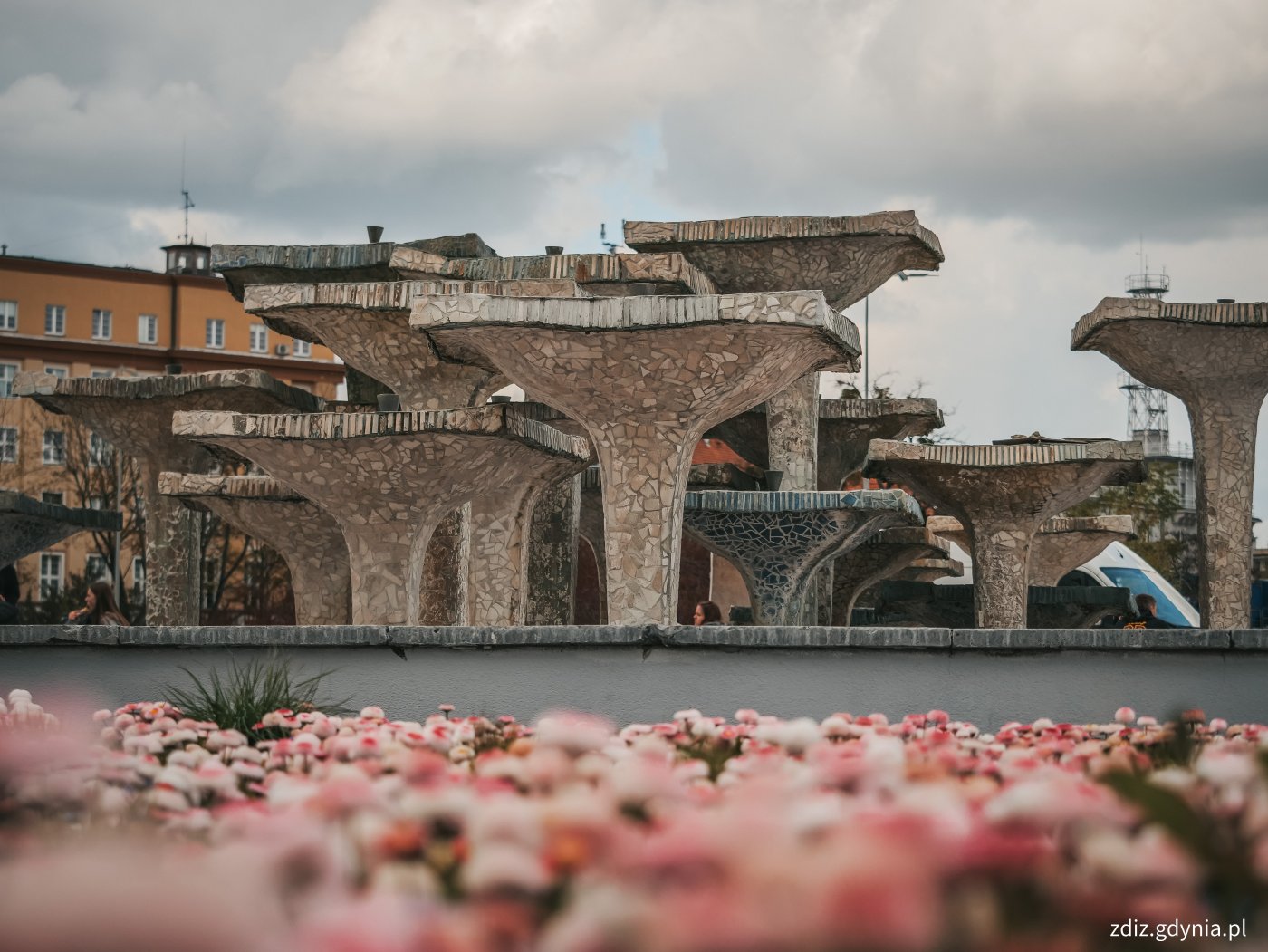Fontanna na Skwerze Kościuszki – jeden z najbardziej charakterystycznych symboli Gdyni – przed rozpoczęciem nowego sezonu (fot. Marcin Mielewski)