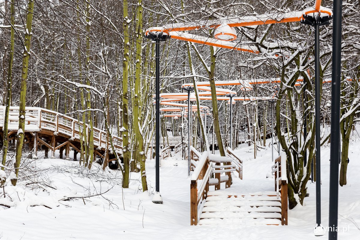 Park Leśny na Oksywiu, między ulicami Żeglarzy a Bosmańską (fot. Przemek Kozłowski / archiuwm)