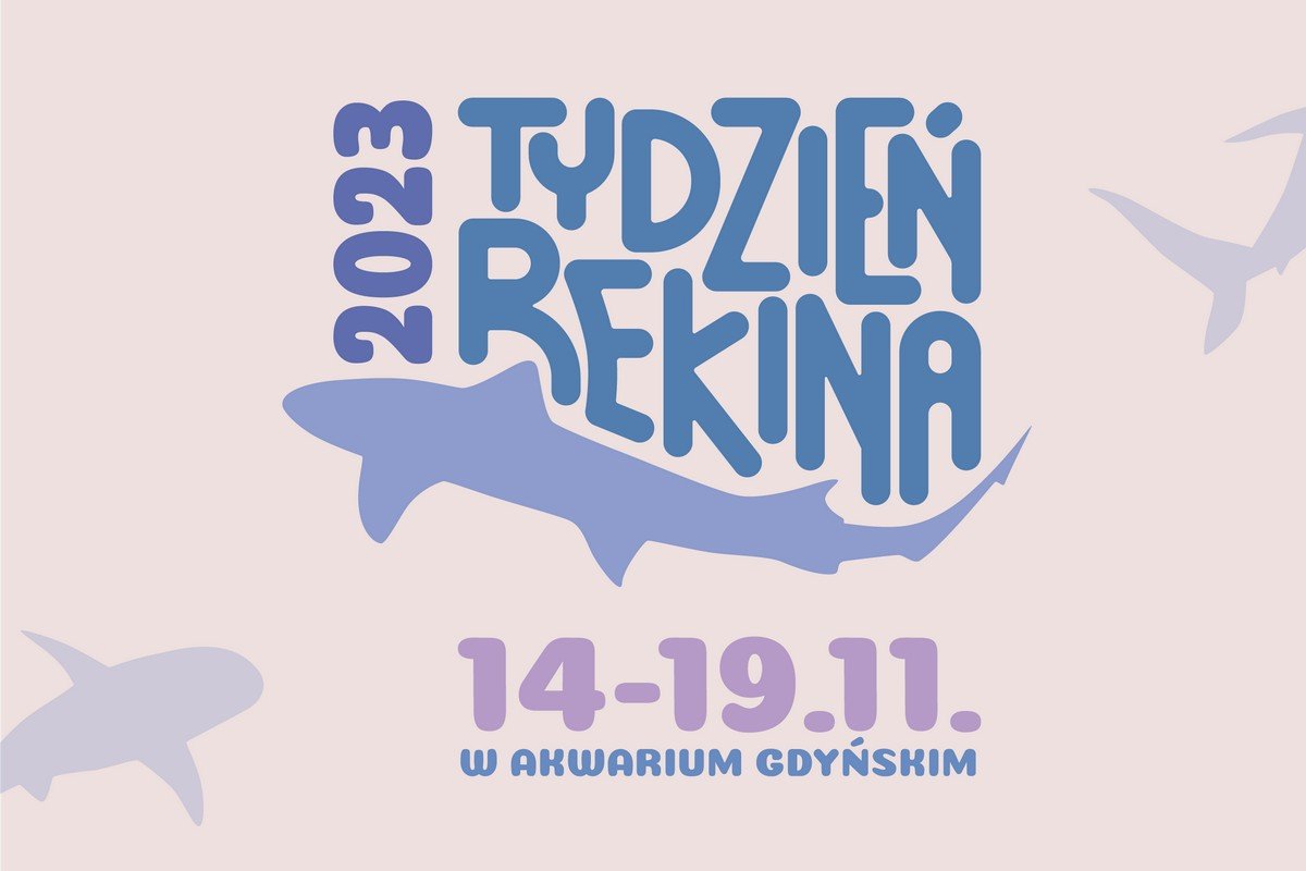 Grafika promująca Tydzień Rekina w Akwarium Gdyńskim // materiały prasowe Akwarium Gdyńskiego