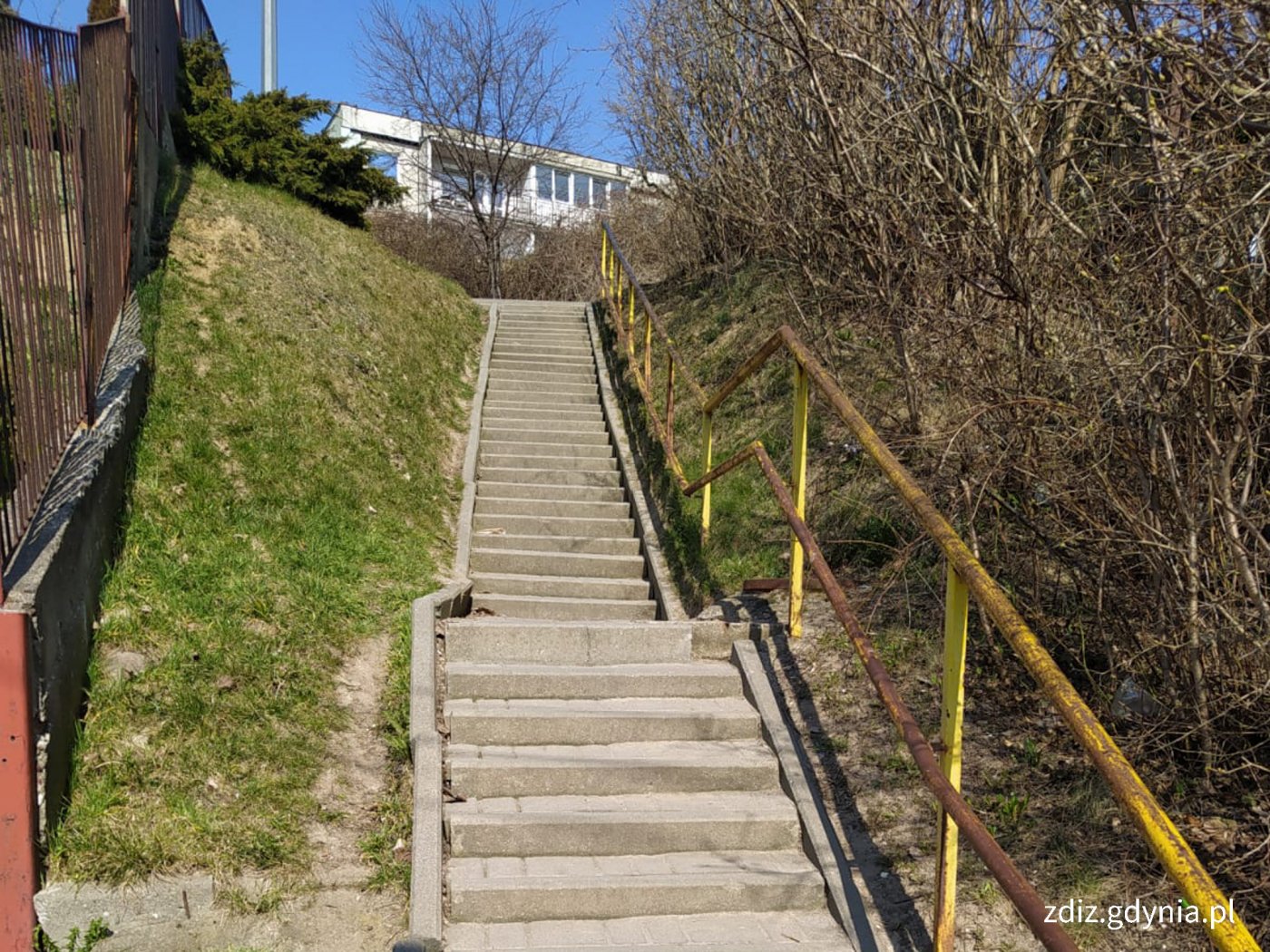 betonowe schody z żółtą barierką, widoczna zieleń