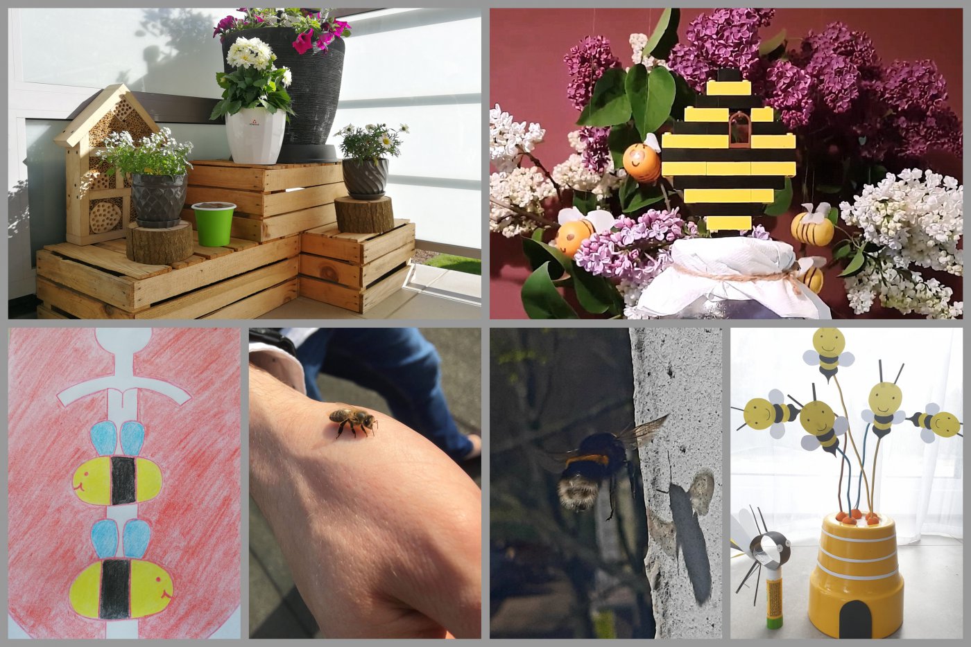 fot. materiały z konkursu „Gdzie możesz spotkać pszczołę?”