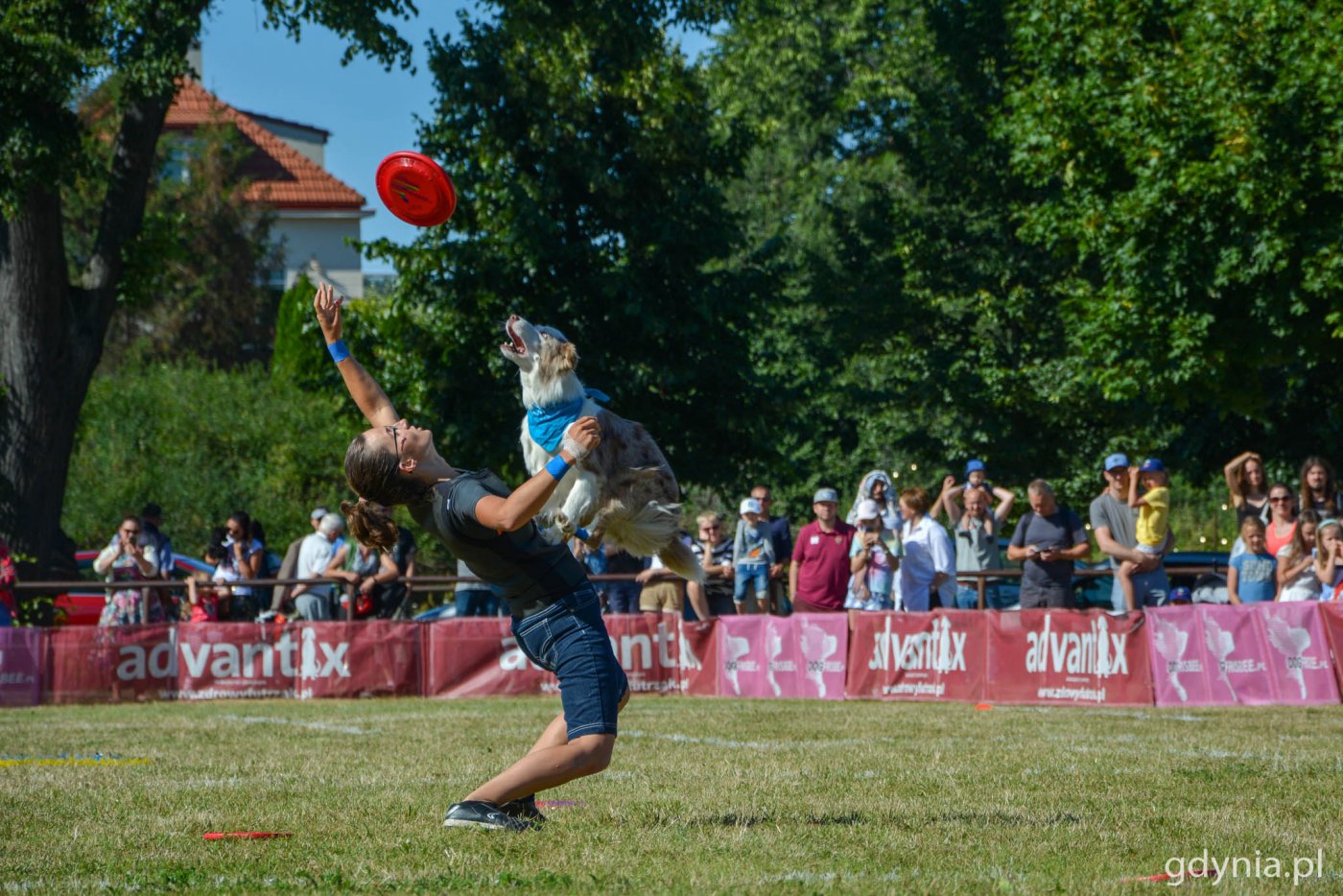 Latające Psy w gdyńskim parku Kolibki // fot. Paweł Kukla