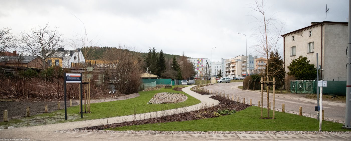 Nowy ogród deszczowy na ul. Sępiej w  Gdyni // fot. WOM